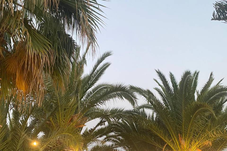 Isole di gusto