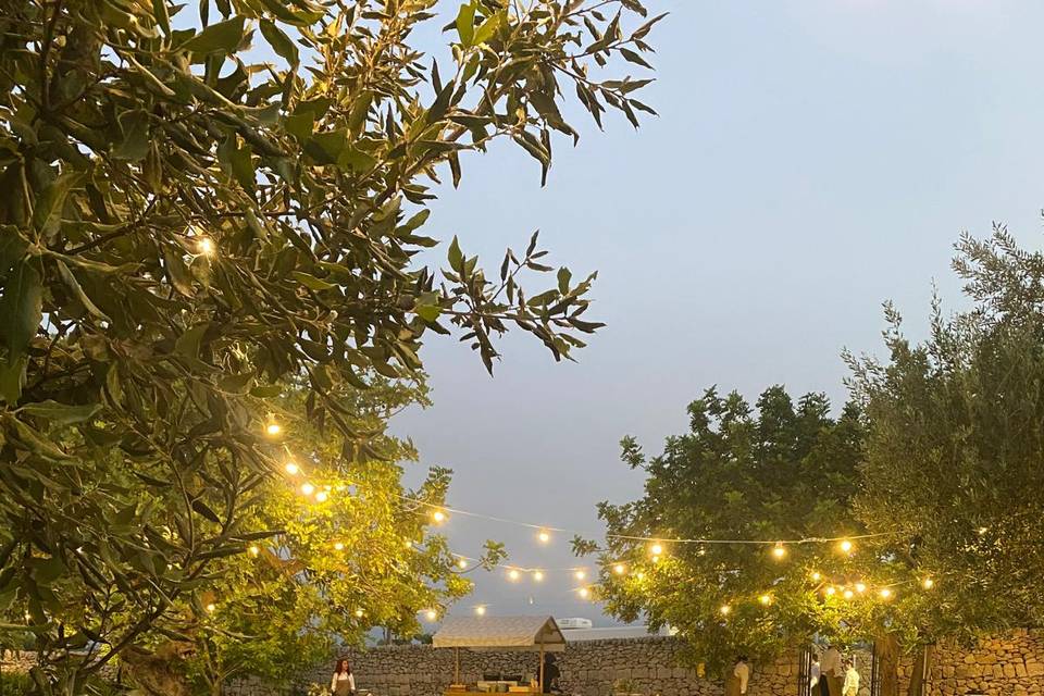 Cena giardino grande