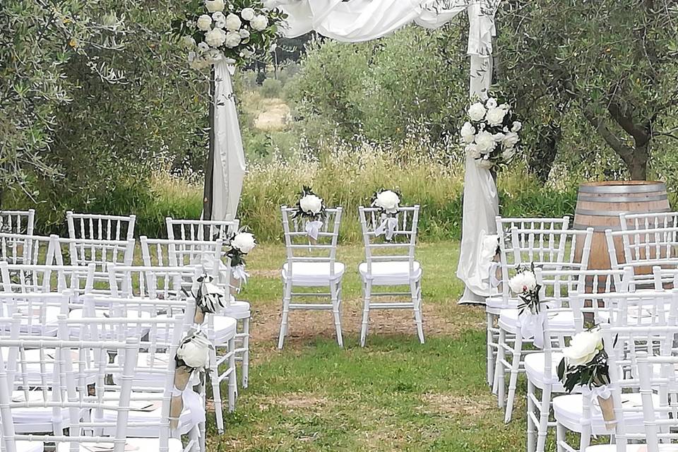 Matrimonio oliveto