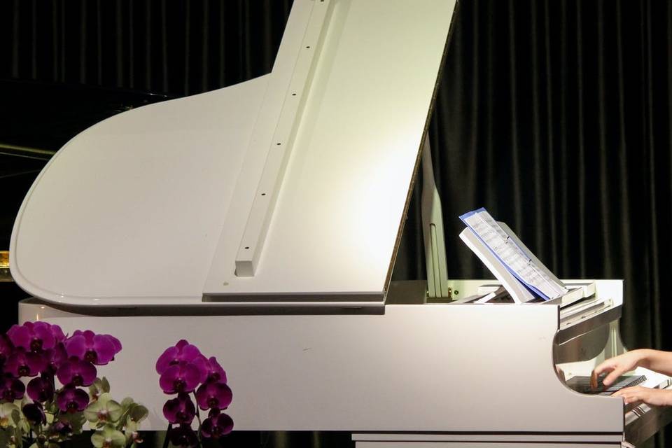 Pianista Mantova