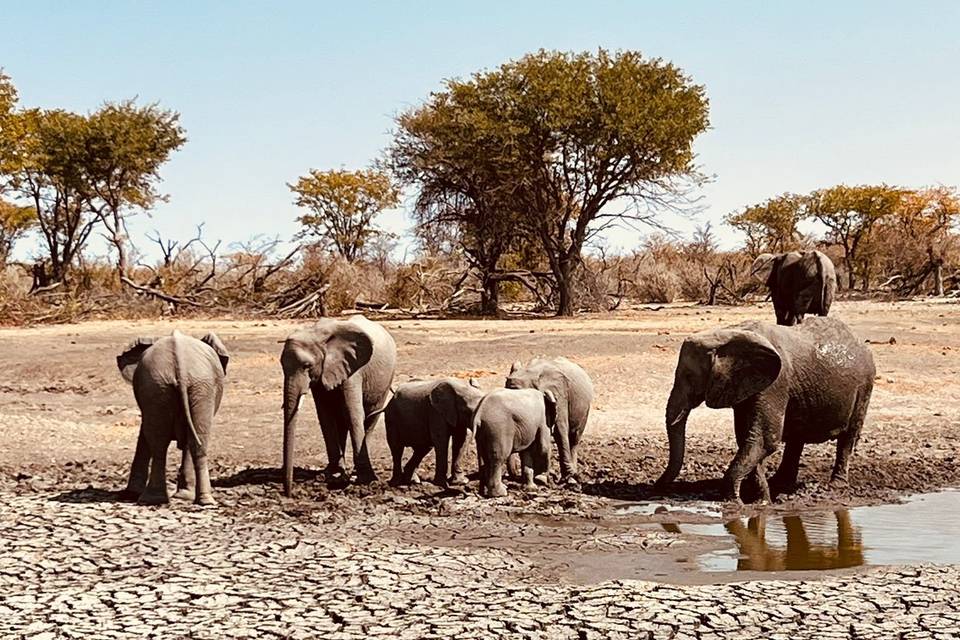 Giganti d'Africa - Namibia