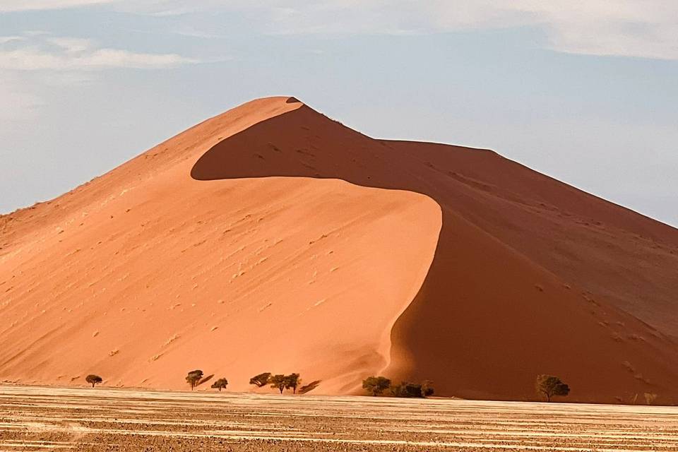 Duna 45 - Namib Desert