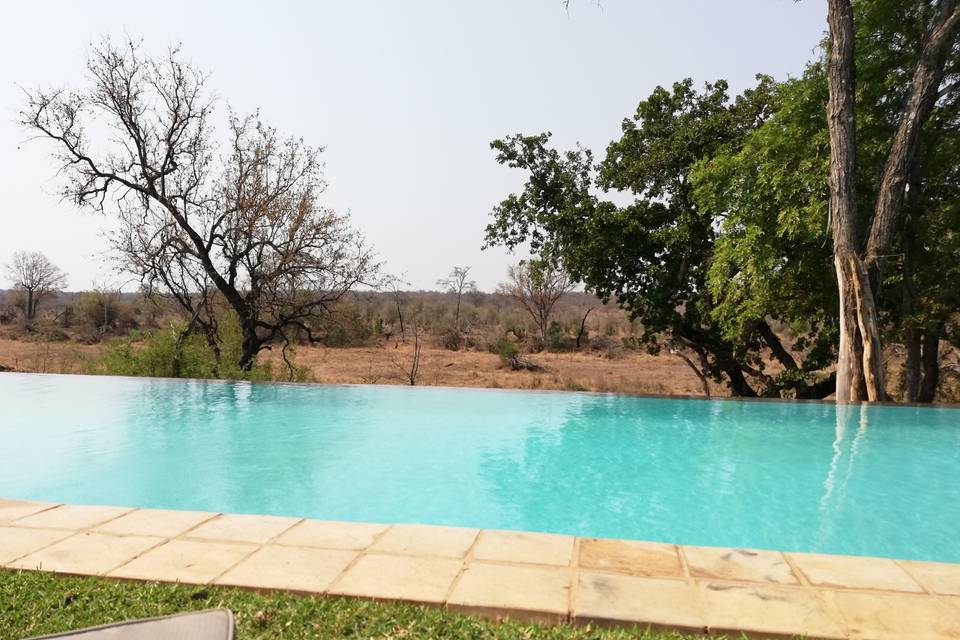 Savana view pool - Karongwe