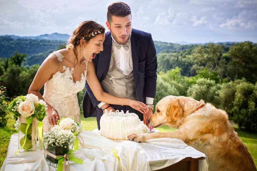 Wedding photographer in tuscan