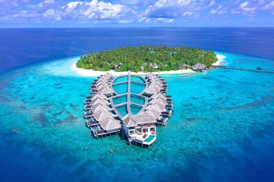 Maldive