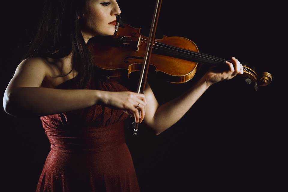 Violino cerimonia e aperitivo