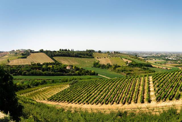 La vista