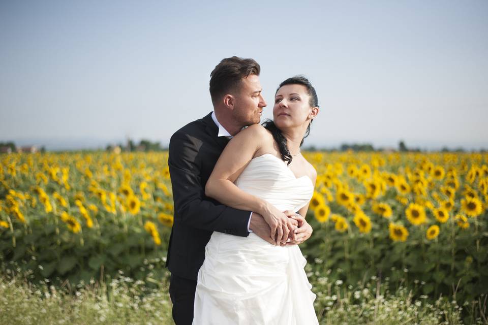 Fotografo -matrimonio - Bologna