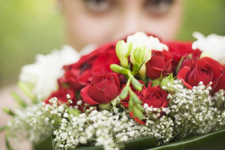 Matrimonio a Bologna