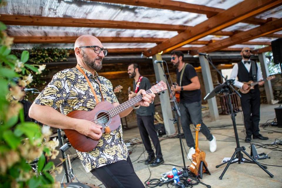 Ukulele turin orchestra