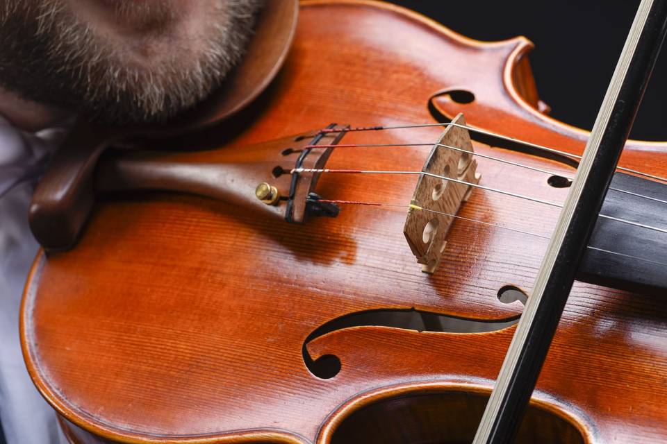 Classic violin