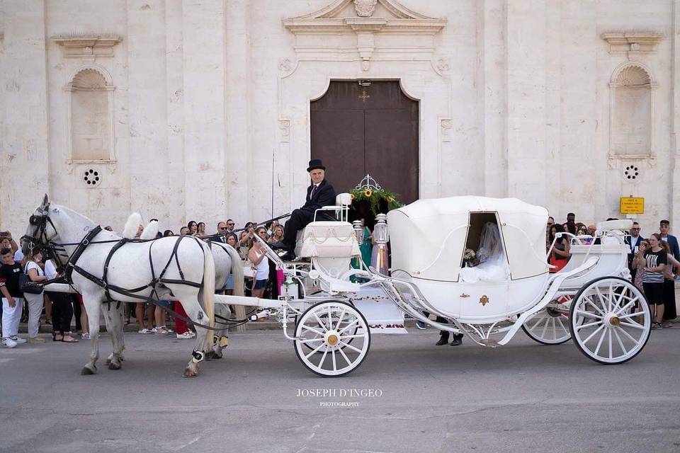 Carrozza con cavalli bianchi