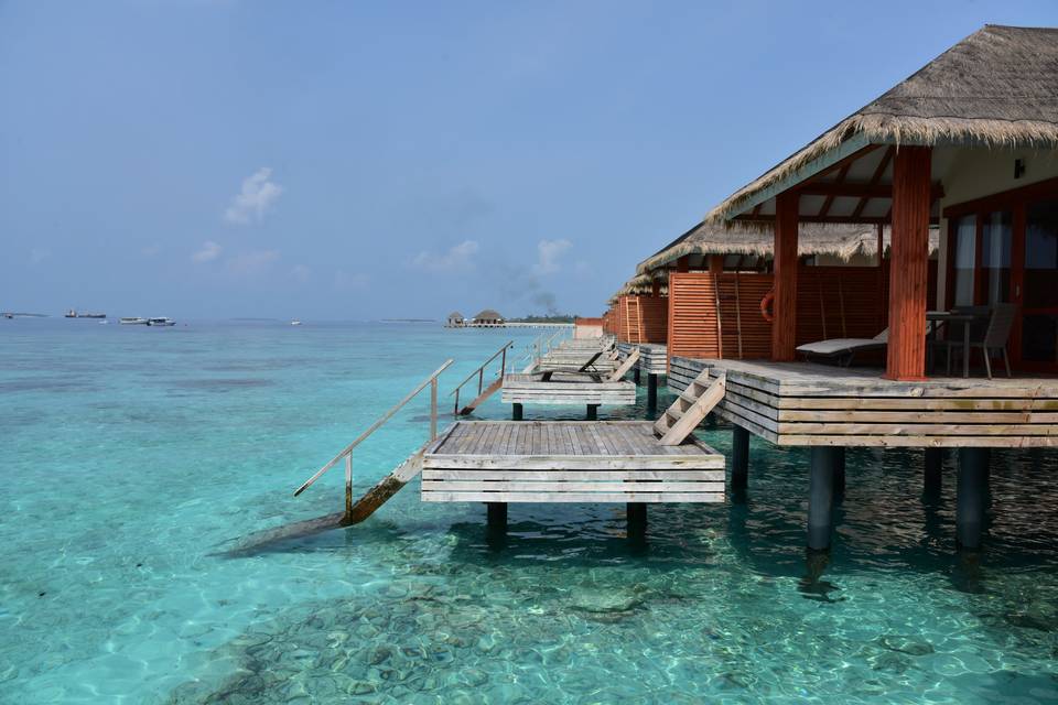 Maldive