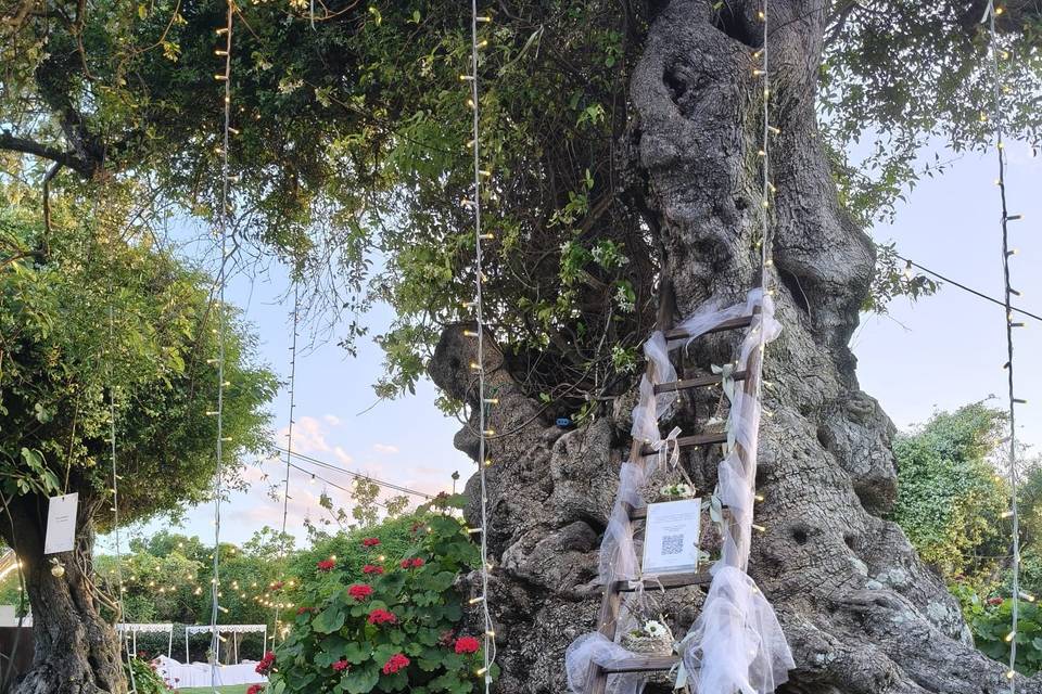 Wedding-Planner-Salento