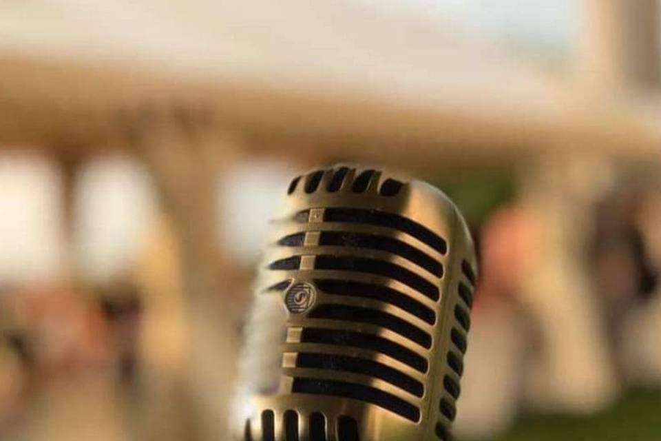 Wedding in music