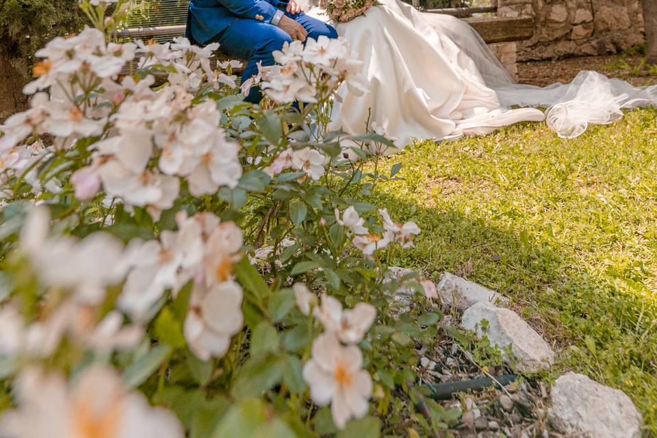 Wedding portrait