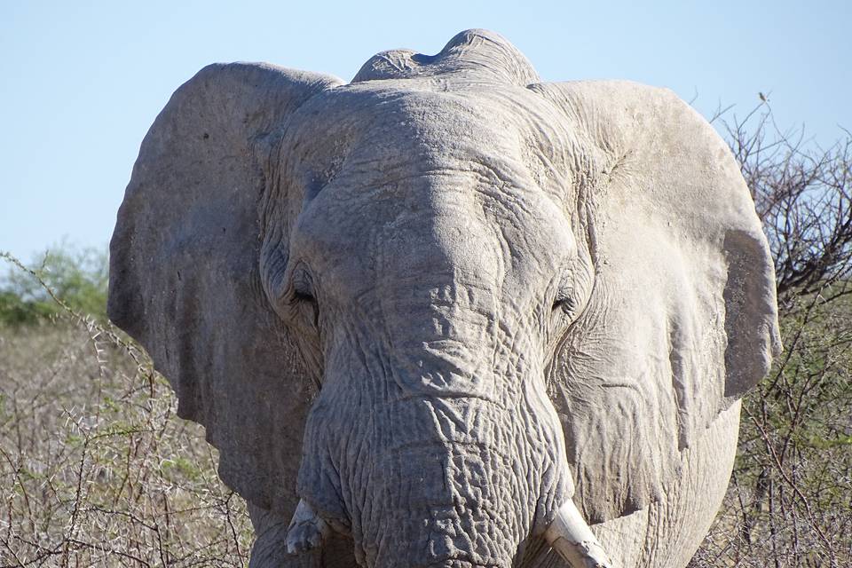 Namibia