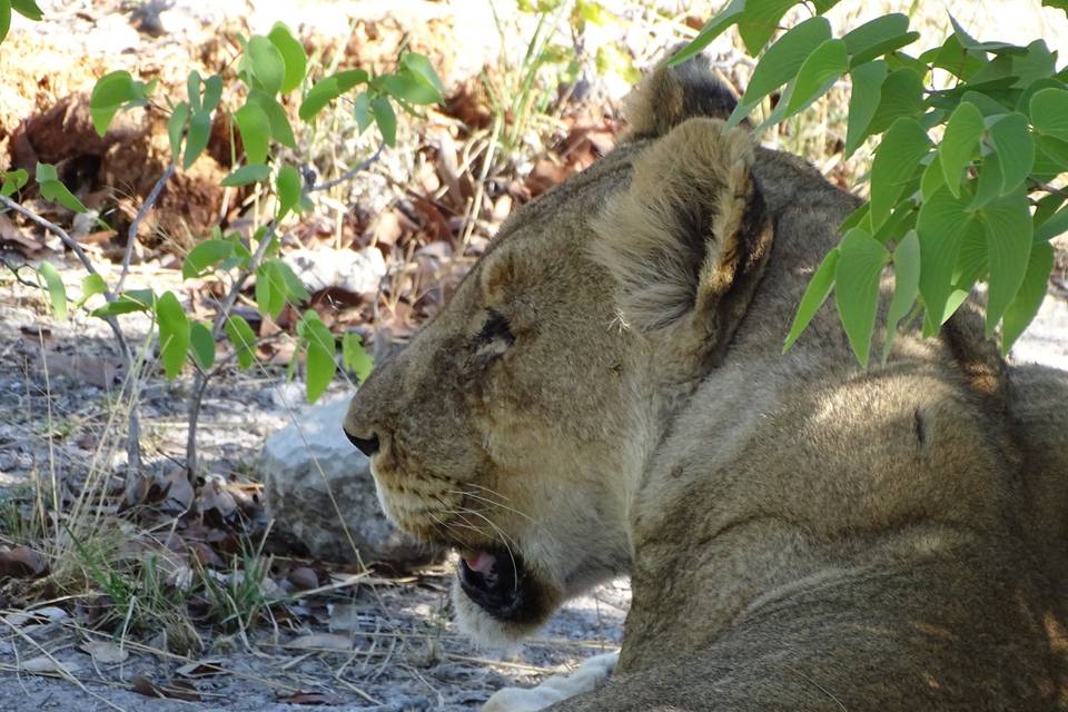 Namibia