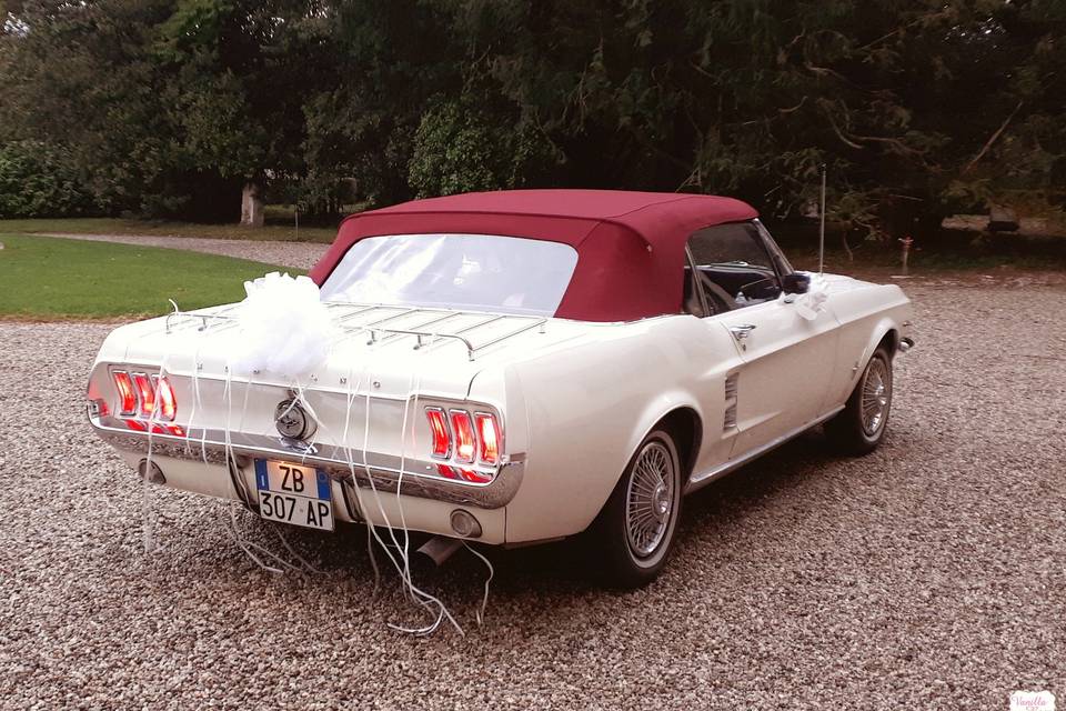 Auto sposi Mustang