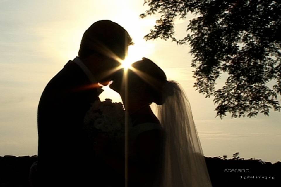 Stefano Alegnini  - The Wedding Times