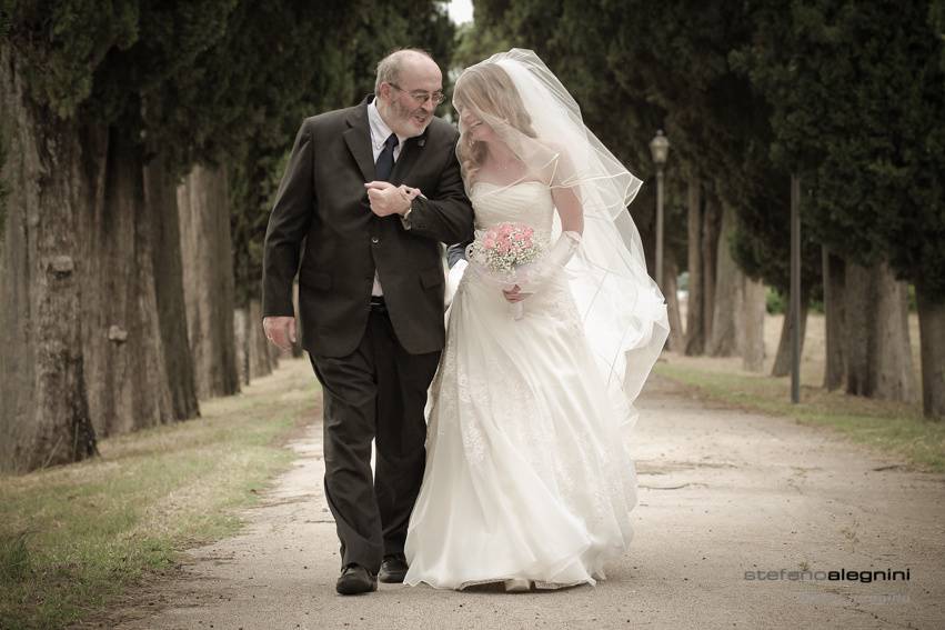 Stefano Alegnini  - The Wedding Times