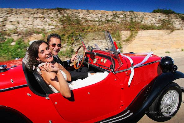 Stefano Alegnini  - The Wedding Times