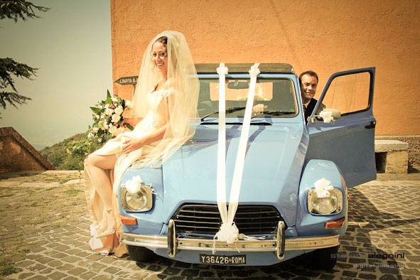 Stefano Alegnini  - The Wedding Times