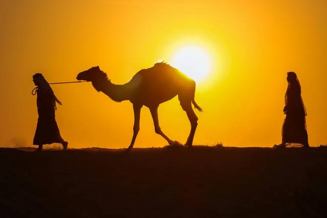 La bellezza del deserto
