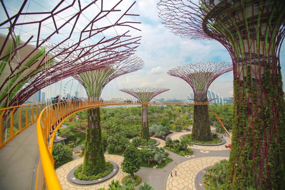 Singapore Gardens
