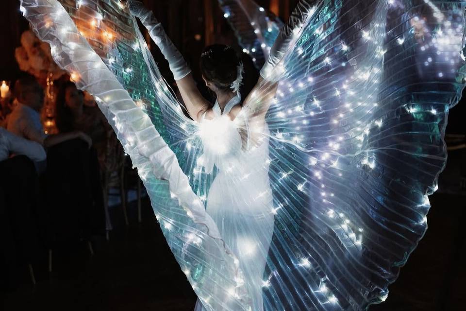 Ali luminose scintillanti