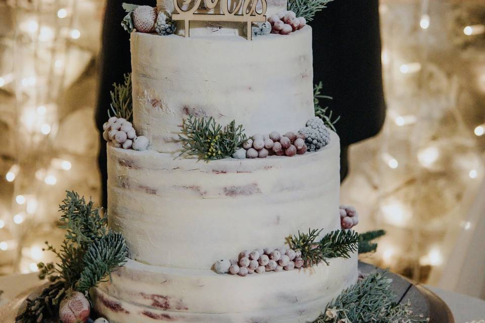 Winter naked cake