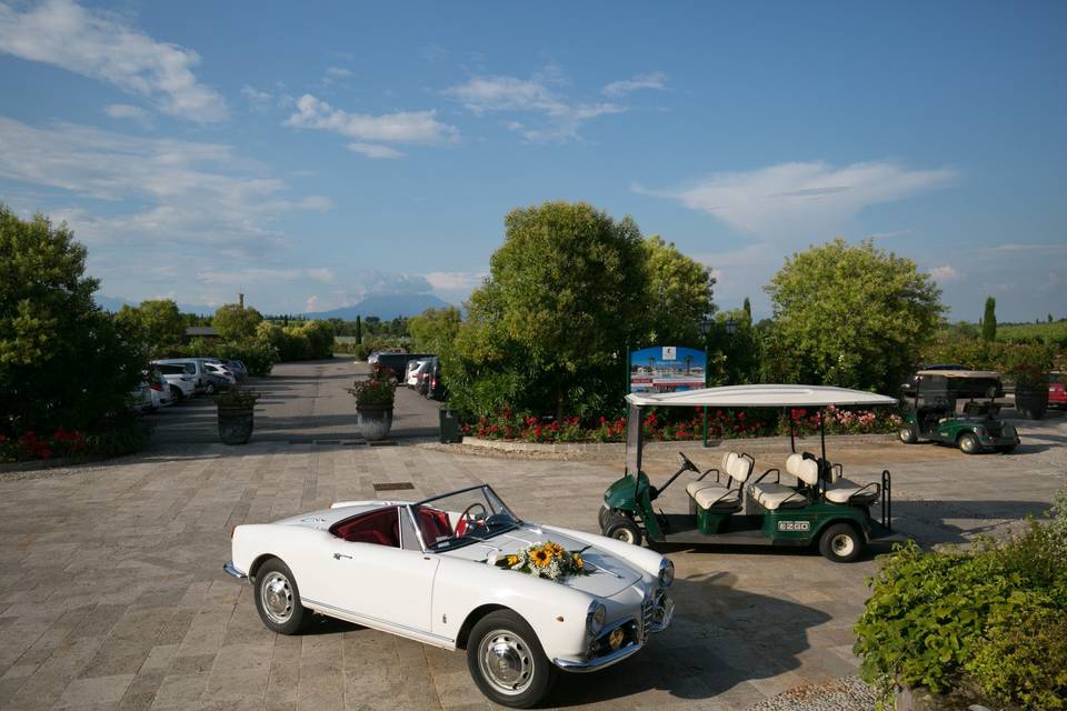 Alfa romeo osso di seppia 1959