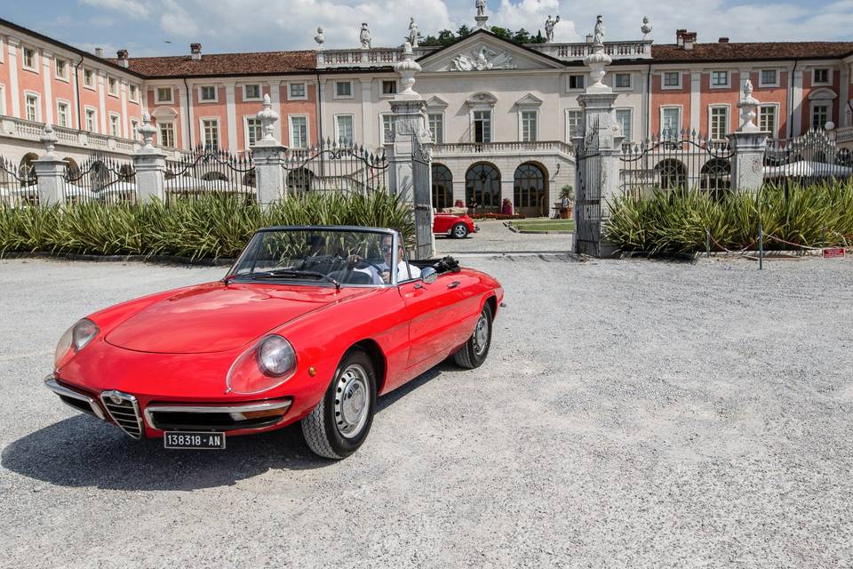 Alfa romeo osso di seppia 1959