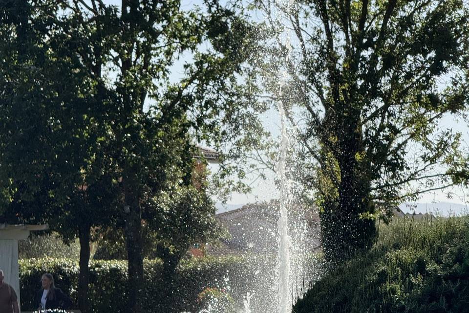Dettagli