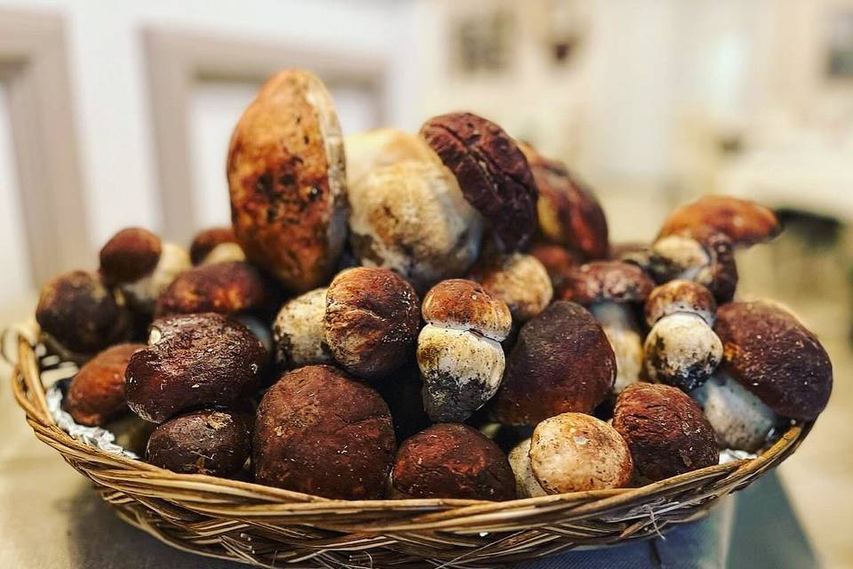 Creazioni