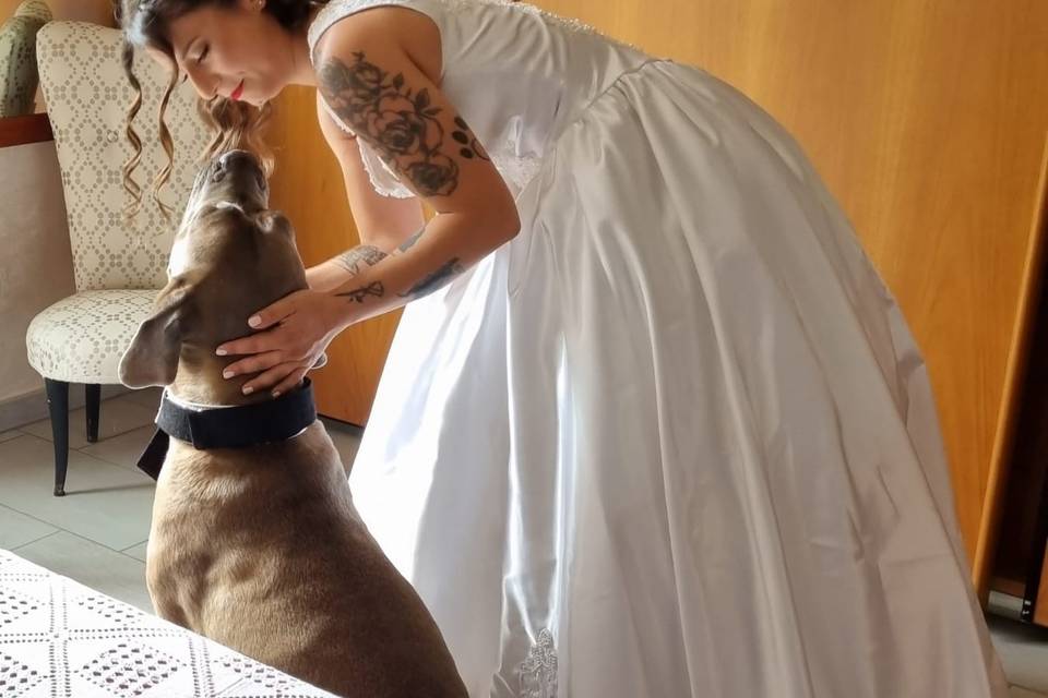 WeddingDogsitter