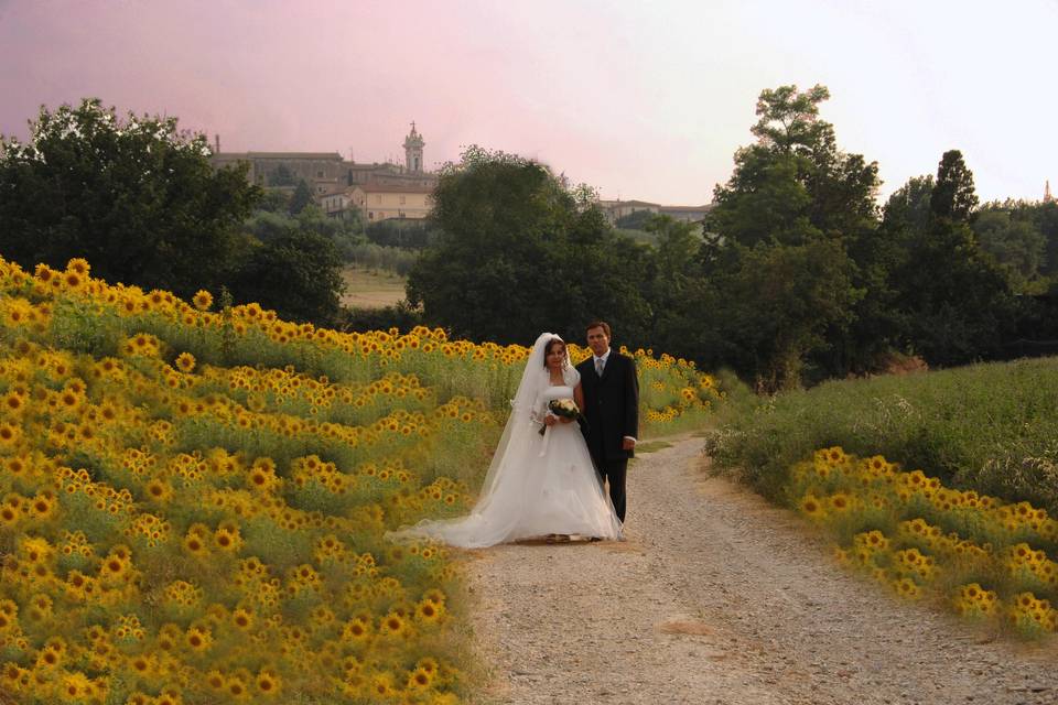 Matrimonio 29 giugno 2008