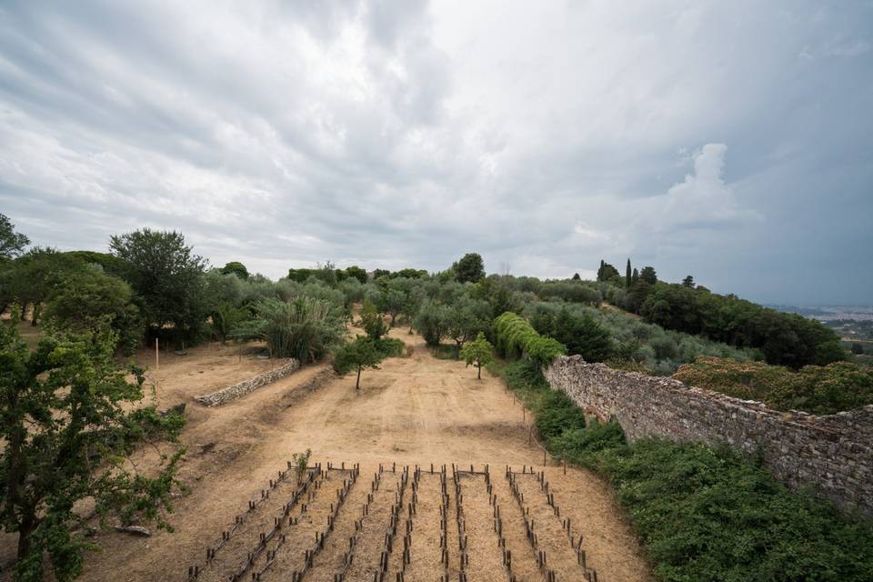 Il giardino d'estate