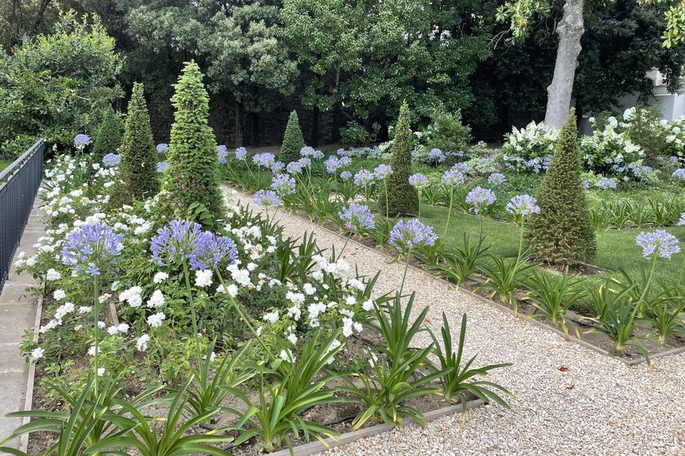 Giardino in fiore