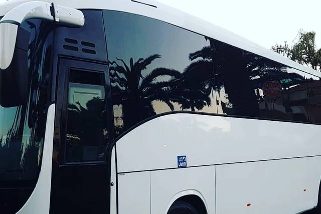 Bus Gt Service
