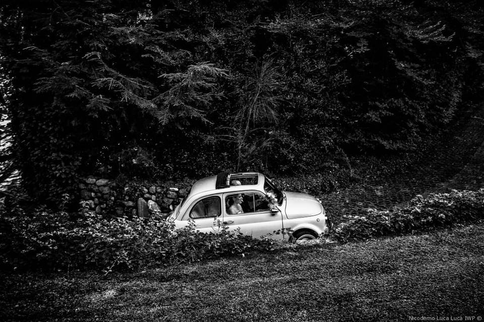 Matrimonio Varese nel bosco