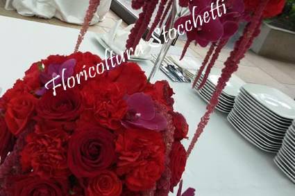 Floricoltura Stocchetti