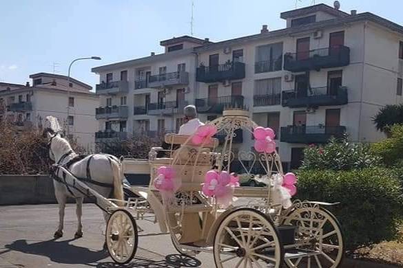 Carrozza Cenerentola