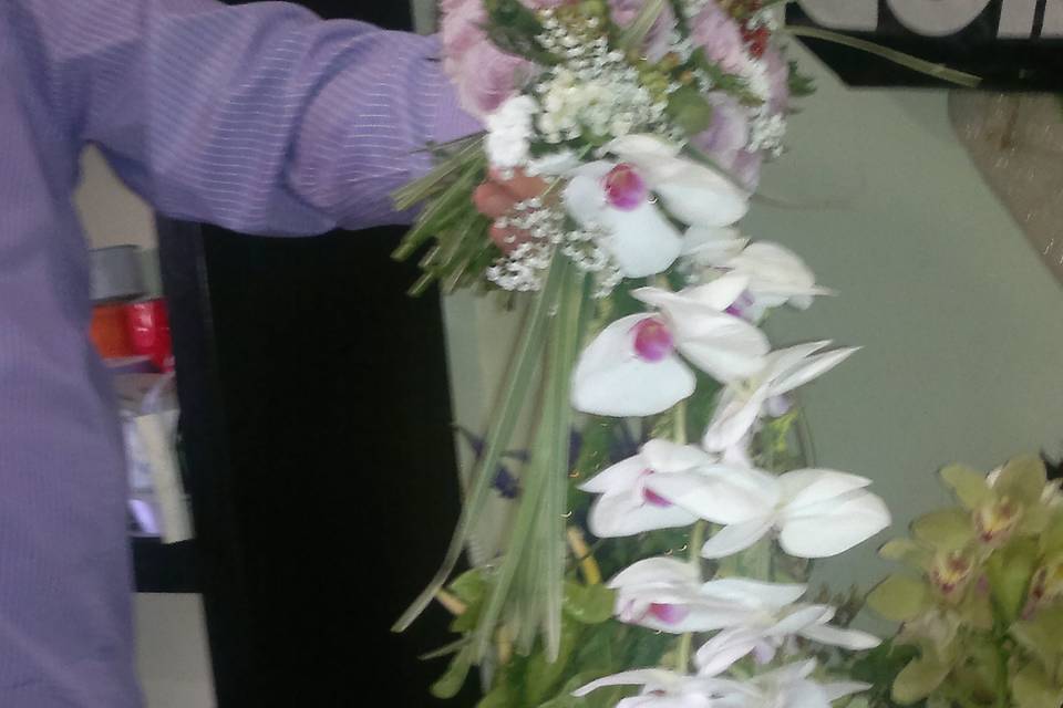 Bouquet phanalopsis