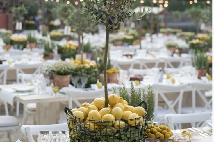 Tavola inspo
