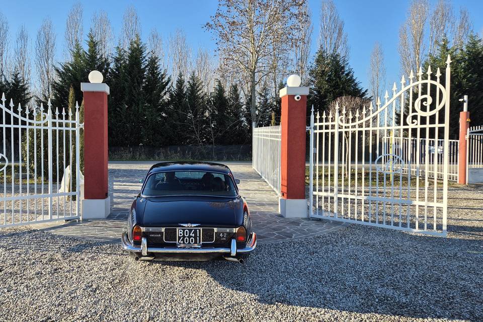 Noleggio auto d'epoca