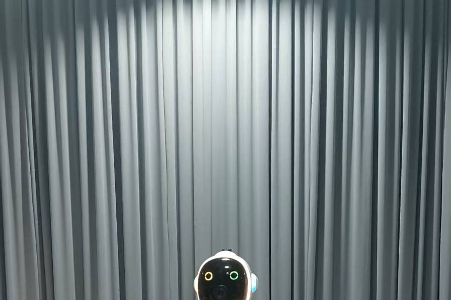 Rali RoboSelfie