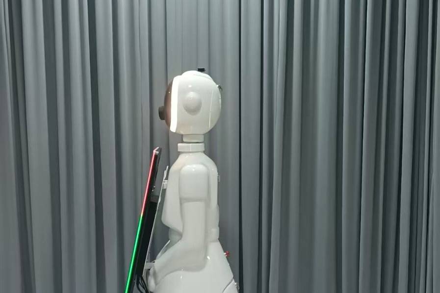 Rali RoboSelfie