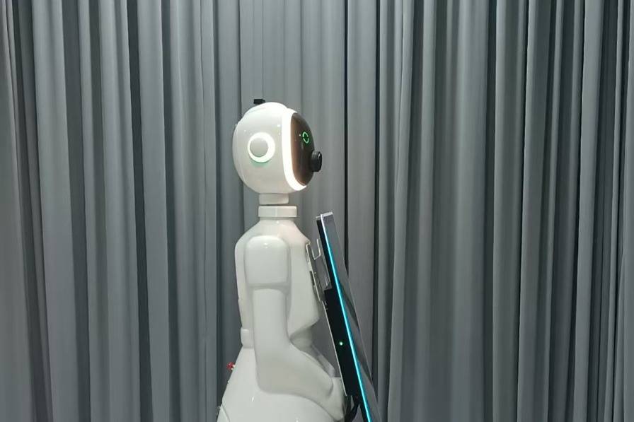 Rali RoboSelfie