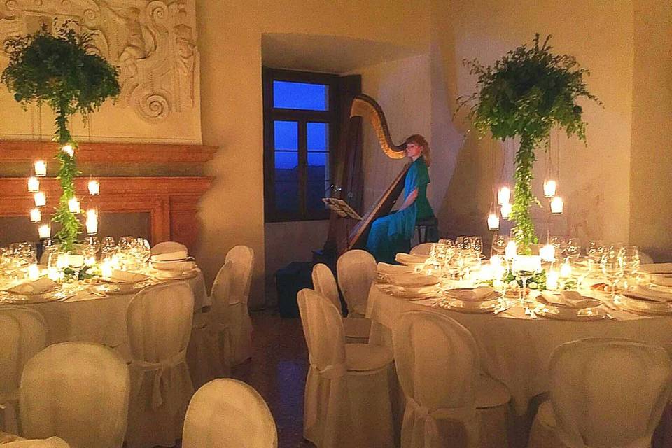 Arpa solista - cena al lume di